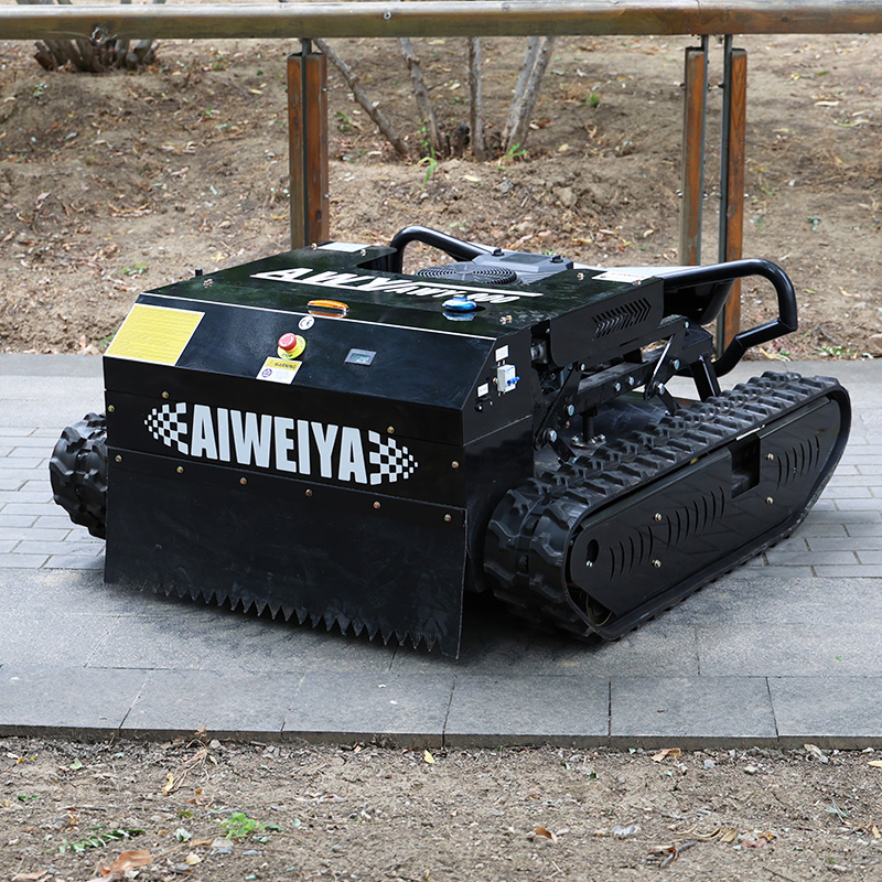 Customized self-propelled lawn - Power Tools Storage avaliação e preço