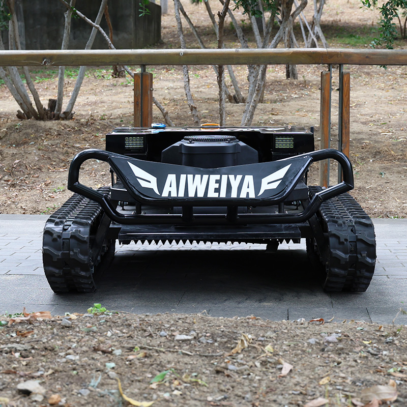 Customized self-propelled lawn - Power Tools Storage avaliação e preço