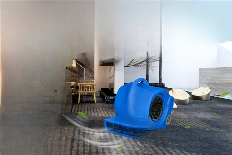 Mobile carpet floor dryer Hote - Power Tools Mall avaliação e preço