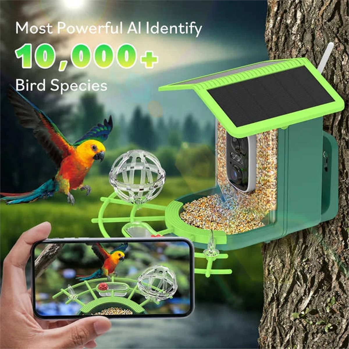 ABPP Smart Bird Feeder Camera  - Power Tools Ai avaliação e preço